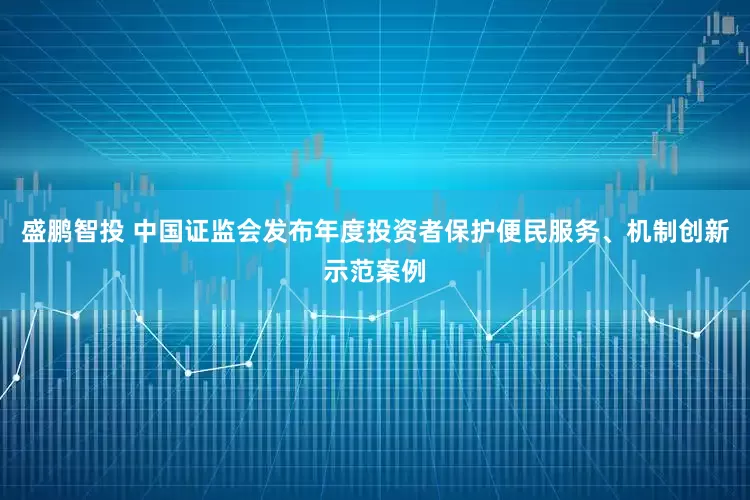 盛鹏智投 中国证监会发布年度投资者保护便民服务、机制创新示范案例