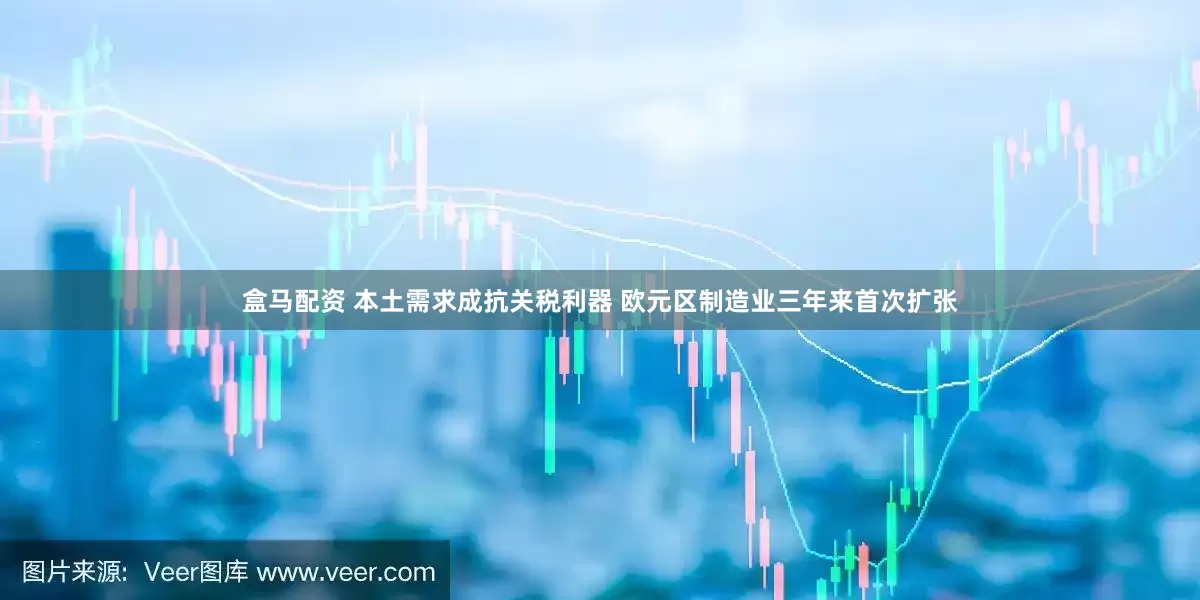 盒马配资 本土需求成抗关税利器 欧元区制造业三年来首次扩张